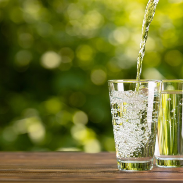 Wasser Gastro 0,25L